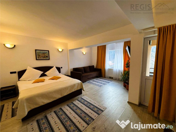 Garsoniere si apartament in vila busteni