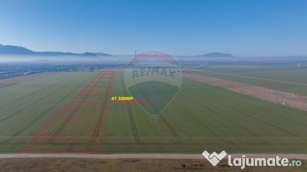 De vanzare teren de 47.300 mp în cartierul izvor, tărlu...