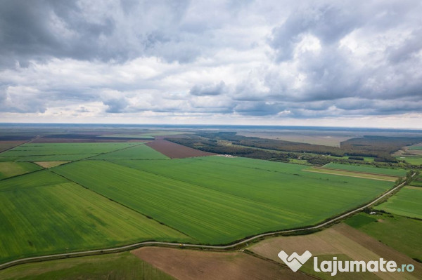 Teren arabil de 985 hectare în Bihor