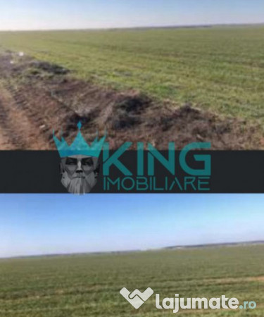Teren agricol | mihailesti | 34ha | parcelare