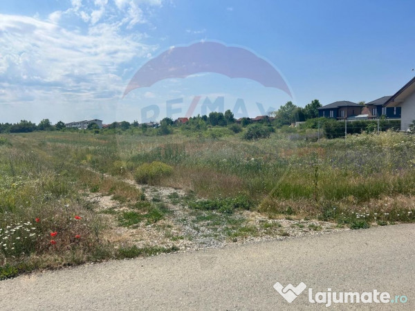 De vanzare teren 4610 mp, 24 euro mp corbeanca-if