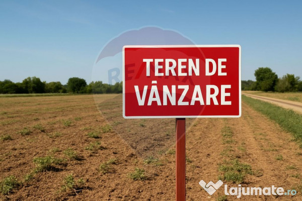 Teren de vanzare drumul sarii - panduri