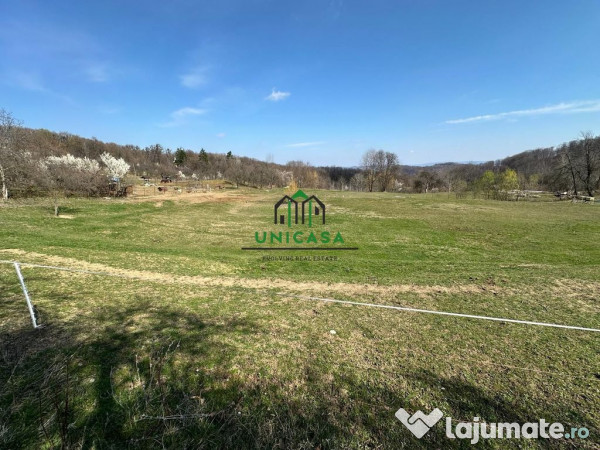 Teren govora / 8131mp