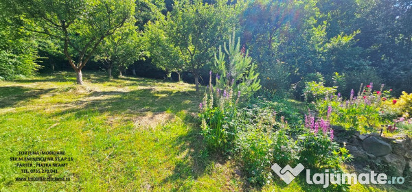 Proprietate la 5 km de oras - vila p+1 + 5600 mp teren