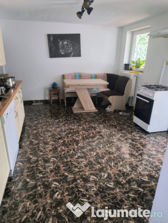 Casă renovată în preluci la 12 km de comănesti , fântâ