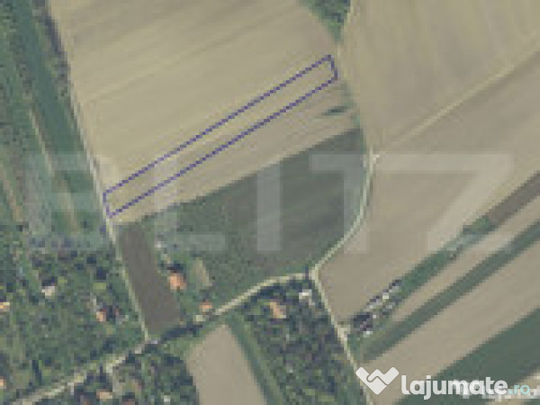 Teren intravilan 41 arii zona viile satu mare