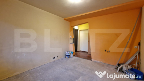 Garsoniera, zona lipovei