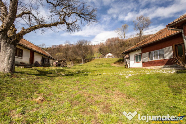 Film! rezidenta traditionala, peisagistica impresionata, dom