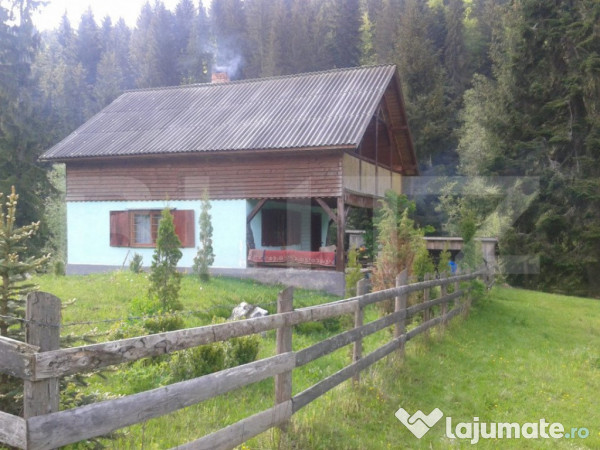 Casă de vacanță în piatra fântânele + 4,5 arii teren