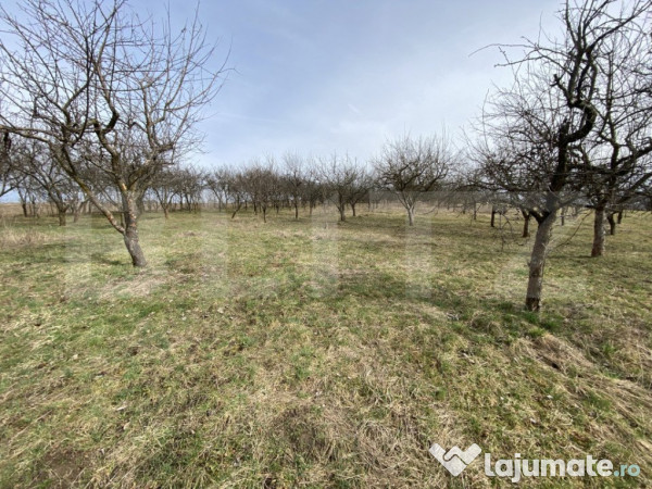 Teren intravilan de vanzare, 5400 mp, in zona ortelec