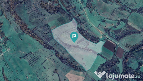 Teren de 87 hectare de arendat în bara, timiș