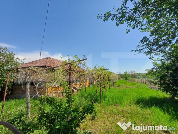 Teren de vanzare, 7300 mp, zona danesti