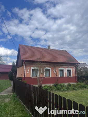 Casa si teren 4300mp, horodnic de jos