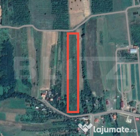 Teren de vânzare în viile satu mare – strada voinicilor