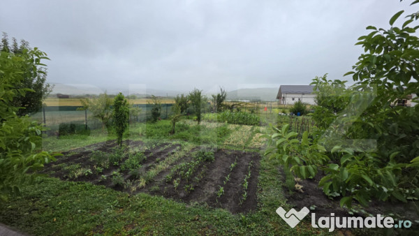 Teren 8 arii, intravilan, zona jelna