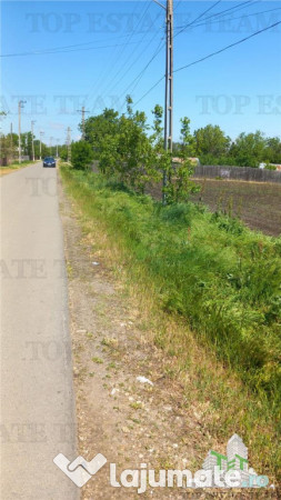 Teren stanesti - giurgiu, intravilan, drum asfaltat, gaz, cu