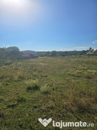 Teren intravilan 2300 mp gura vitioarei