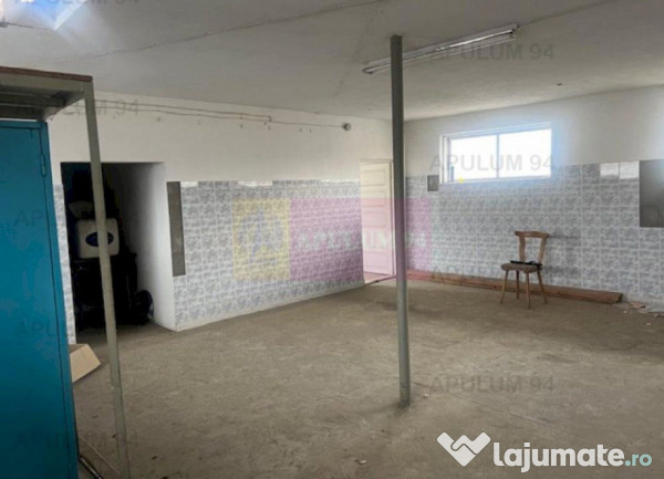 Spatiu productie cornetu- central.