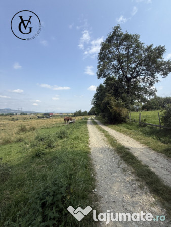 Teren intravilan 500 mp - tohanul nou