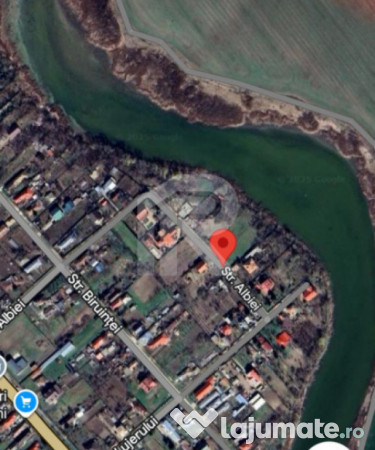 Exclusivitate_frumusani_pasarea