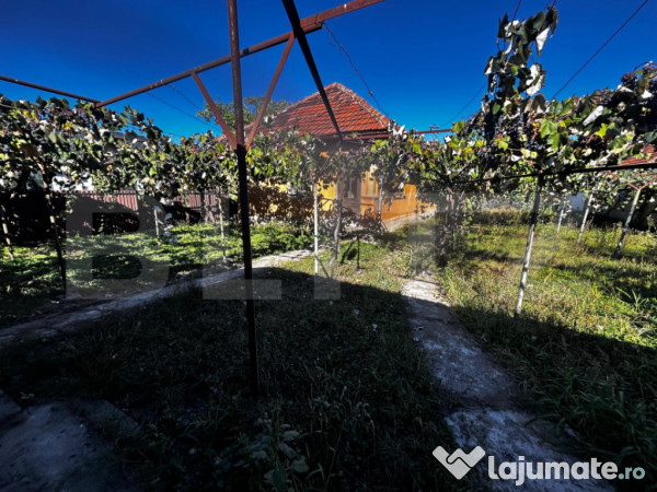 Doua casa de vanzare, teren intravilan 1773 mp, zona stoloja