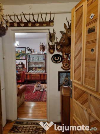 Resita Govandari  3 camere 60000 euro