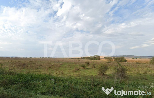 Teren intravilan de vanzare in zona industriala din Sura Mic