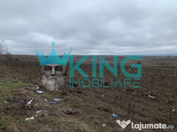 Teren agricol | garboavele | 1.5 ha