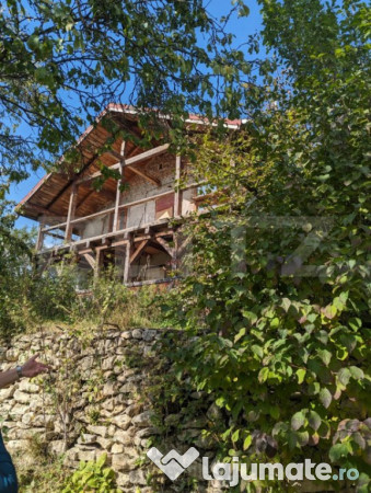 Casa de vacanta si teren 4873 mp în pietroasa, moldoveneş