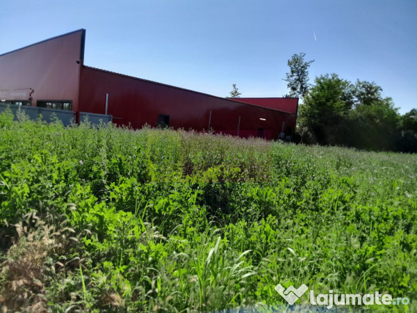 Movilita (il)-teren de inchiriat aprox. 2 ha stradal, lan...