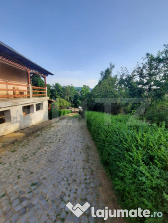Casă cu 3 camere pe str. negoiului, teren 2.560 mp, vedere
