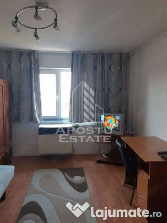 Garsoniera, 24mp, lipovei