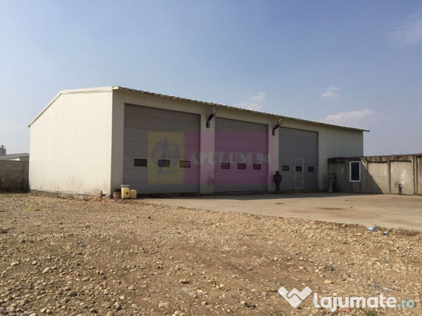 Hala soseaua bucuresti- magurele- planul 2.